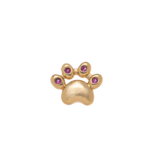Animal Paw